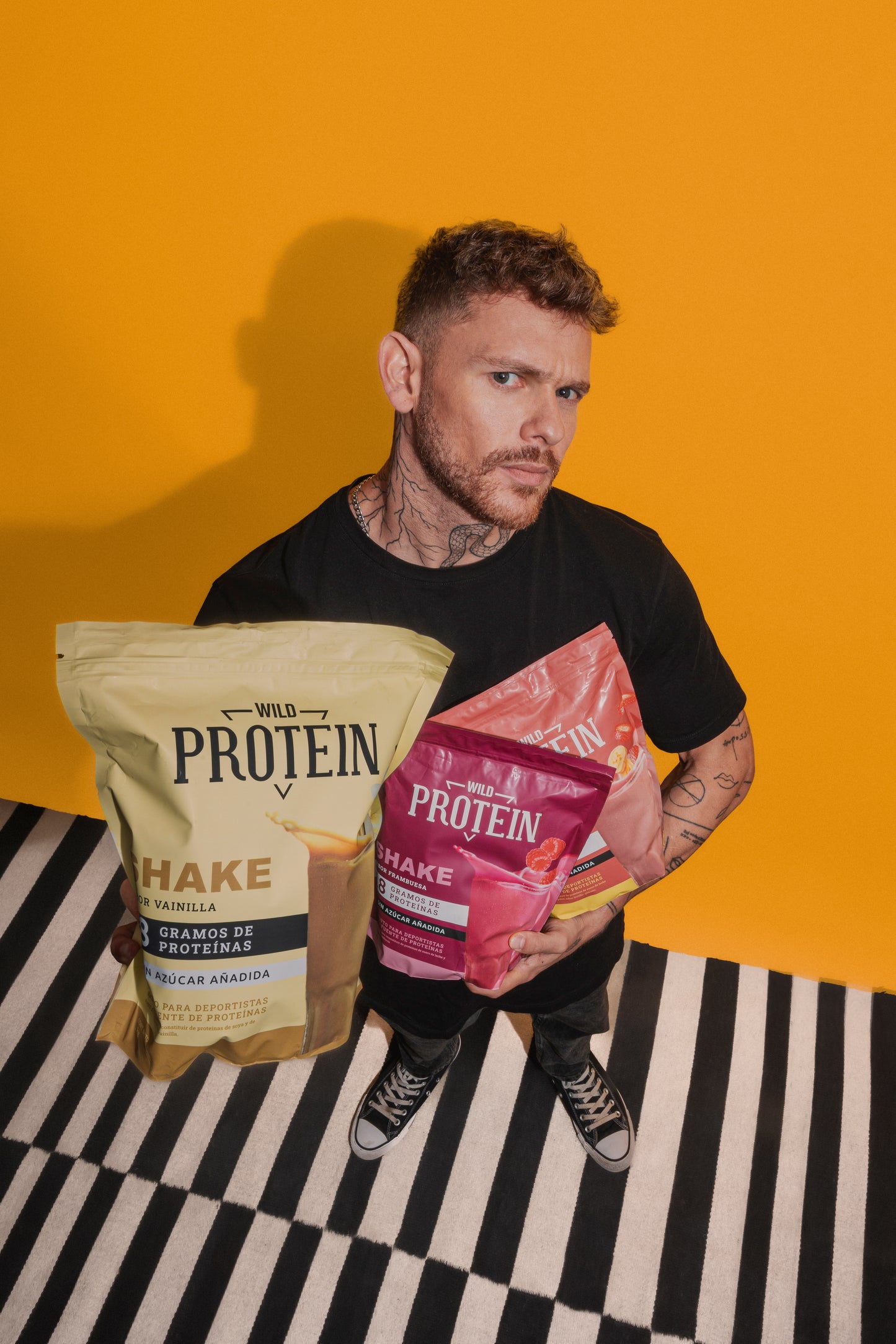 Shake en Polvo Vegano sabor Manjar (1 kg)