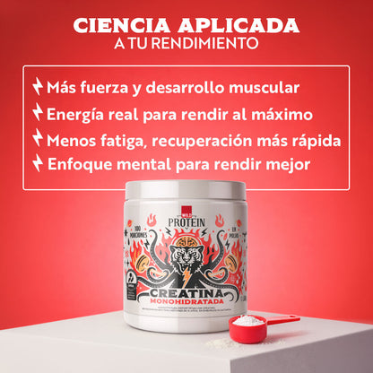 Wild Protein Creatina Monohidratada en Polvo - 12 tarros de 500 g c/u