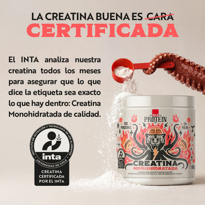 Wild Protein Creatina Monohidratada en Polvo - 12 tarros de 500 g c/u