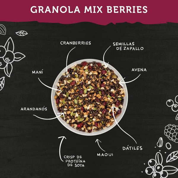 Granola Proteica Mix Berries 350 gr Wild Protein